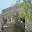 New_York_Public_Library_Lion_May_2011_thumb.jpg